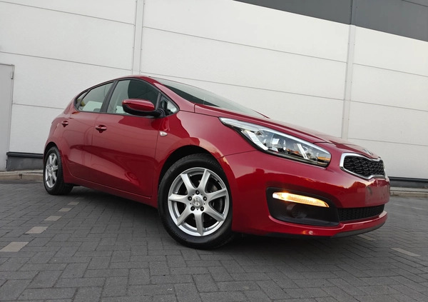 Kia Ceed cena 38900 przebieg: 156500, rok produkcji 2016 z Mieszkowice małe 631